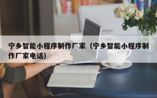 太原宁乡智能小程序制作厂家（宁乡智能小程序制作厂家电话）