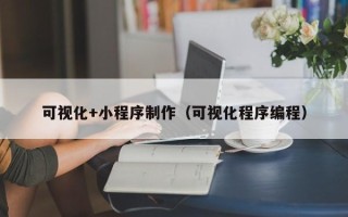 太原可视化+小程序制作（可视化程序编程）